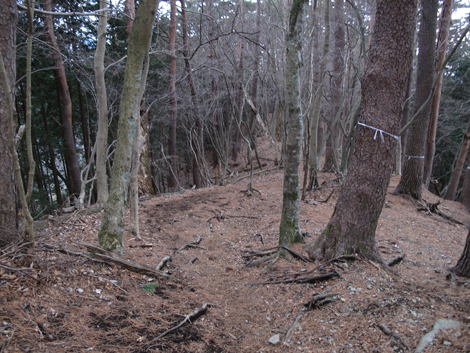 20160204hike (320)
